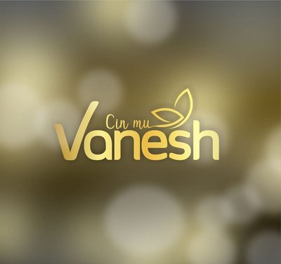 Trademark CIN MU VANESH