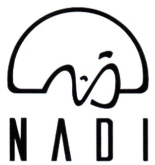 Trademark NADI + LOGO