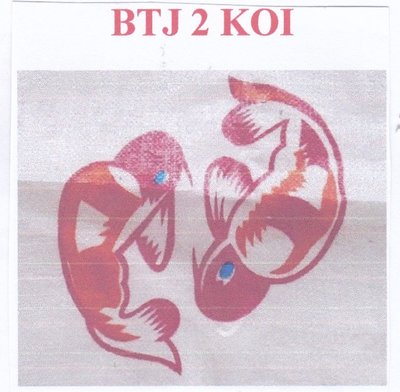 Trademark BTJ 2 KOI &LOGO