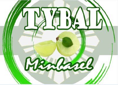 Trademark Tybal Minbasel