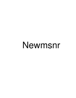 Trademark Newmsnr