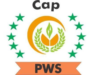 Trademark CAP PWS + Logo