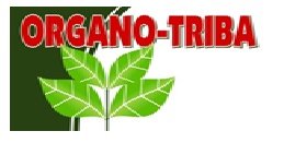 Trademark ORGANO-TRIBA