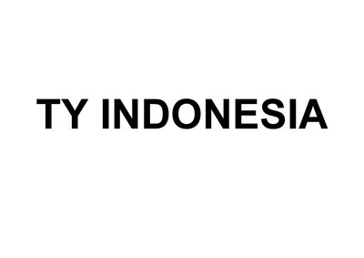 Trademark TY INDONESIA