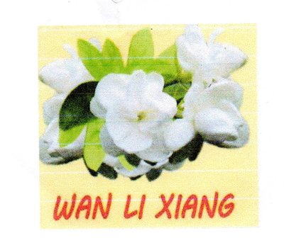 Trademark WAN LI XIANG