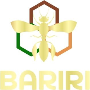 Trademark BARIRI