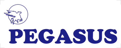 Trademark PEGASUS + LOGO