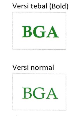 Trademark BGA