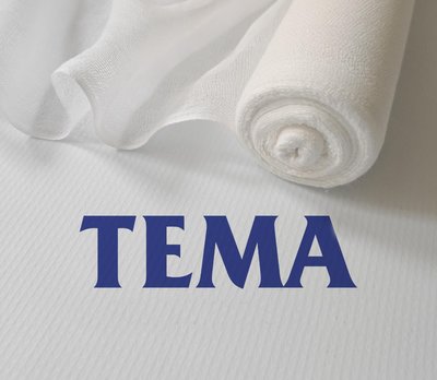 Trademark TEMA