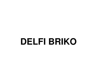 Trademark DELFI BRIKO