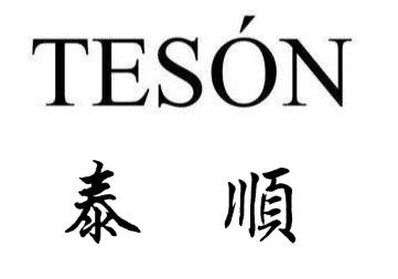 Trademark TESÓN