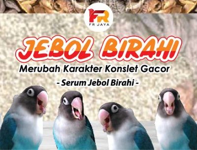 Trademark FR JAYA JEBOL BIRAHI MERUBAH KARAKTER KONSLET GACOR -SERUM JEBOL BIRAHI- + LUKISAN/LOGO