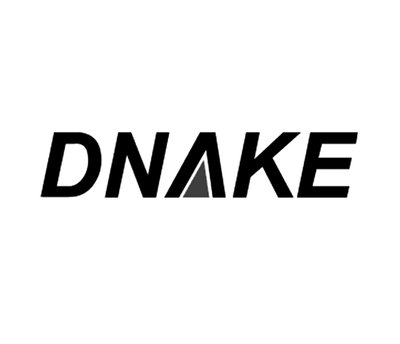 Trademark DNAKE dan lukisan