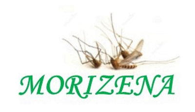 Trademark MORIZENA