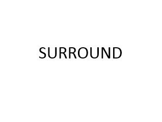 Trademark SURROUND