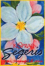 Trademark KISPRAY SEGERIS