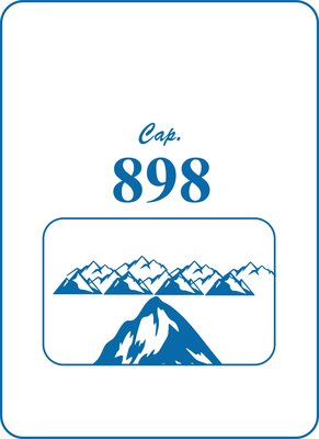 Trademark 898 DAN LOGO