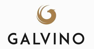 Trademark GALVINO