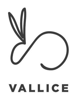 Trademark VALLICE