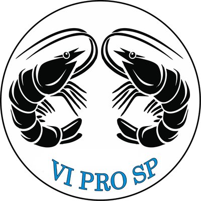 Trademark VI PRO SP + LOGO