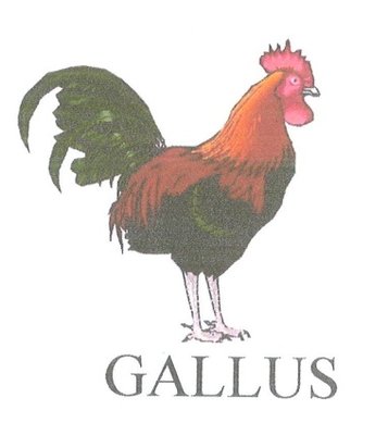 Trademark GALLUS DAN LUKISAN AYAM