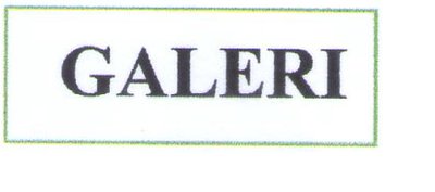 Trademark GALERI