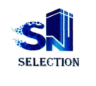 Trademark SN SELECTION DAN LOGO