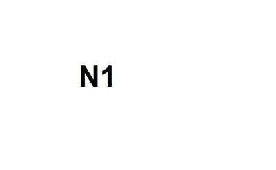 Trademark N1