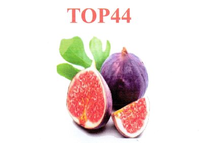 Trademark TOP44