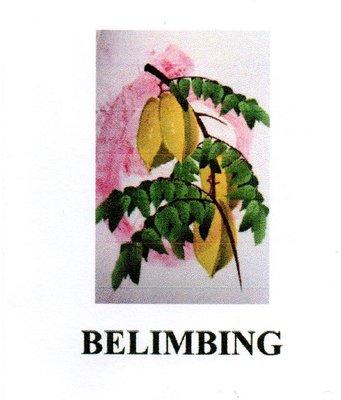 Trademark BELIMBING