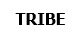 Trademark TRIBE