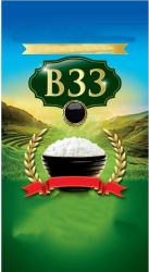 Trademark B33