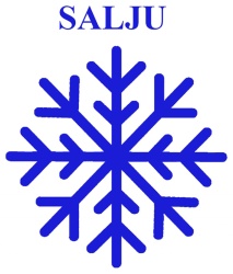 Trademark SALJU