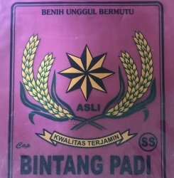 Trademark Bintang Padi