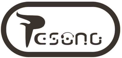 Trademark RESONG + LOGO