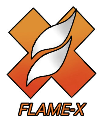 Trademark FLAMEX