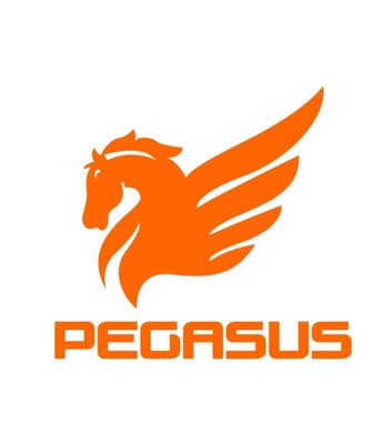 Trademark PEGASUS