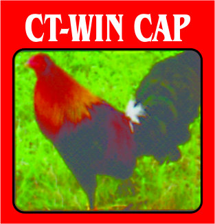 Trademark CT-WIN CAP