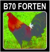 Trademark B70 FORTEN