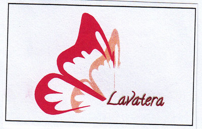 Trademark LAVATERA