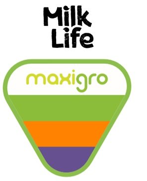 Trademark MILK LIFE MAXIGRO