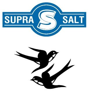 Trademark SUPRA S SALT DAN LUKISAN