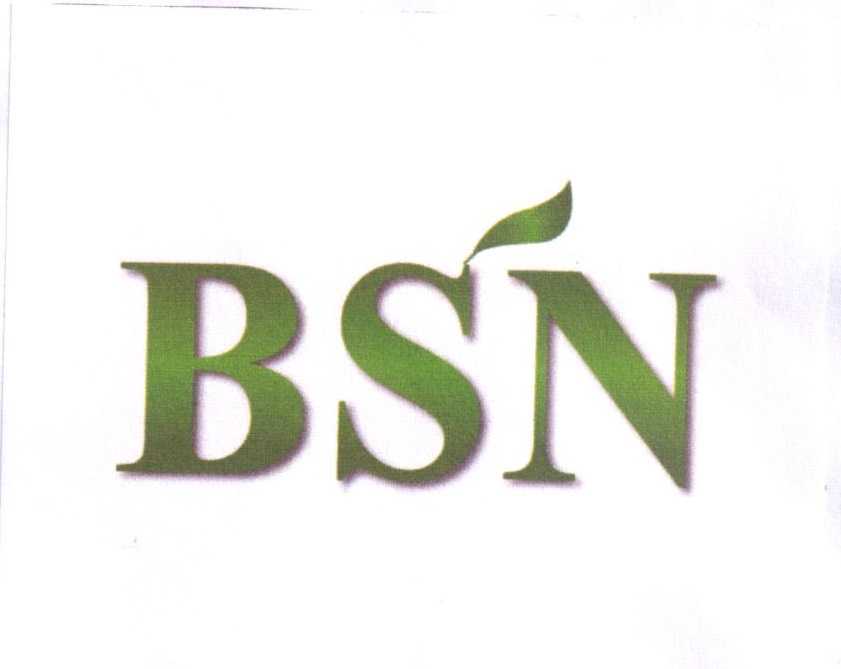 Trademark BSN