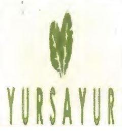 Trademark YURSAYUR + LUKISAN