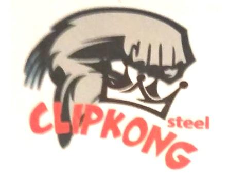 Trademark CLIPKONG steel