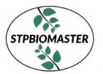 Trademark STPBIOMASTER DAN LUKISAN