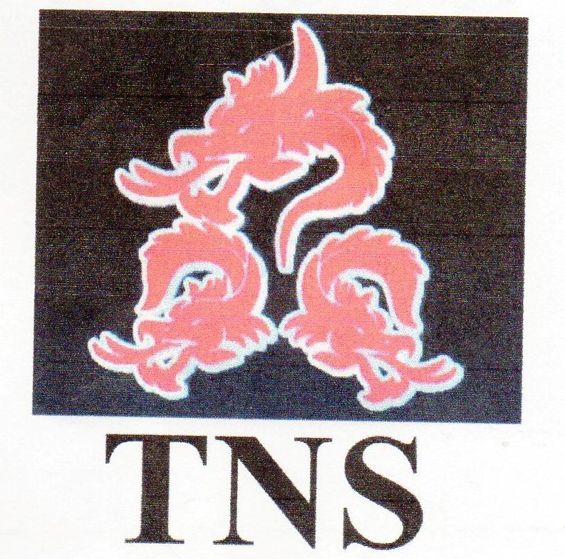 Trademark TNS