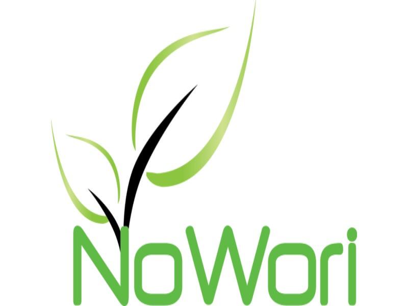 Trademark NOWORI