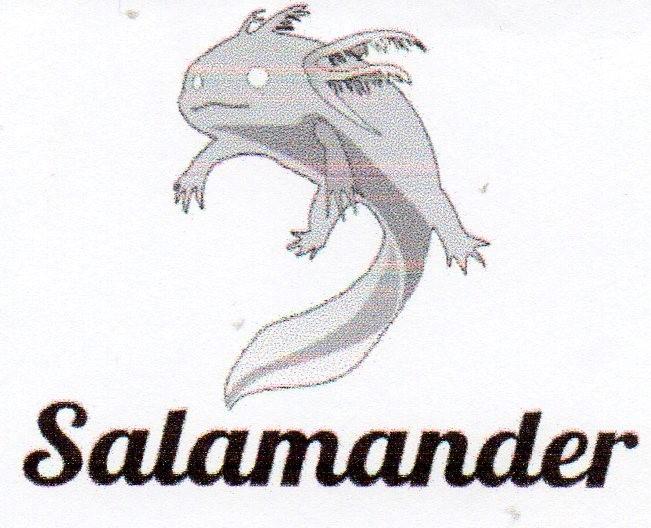 Trademark SALAMANDER