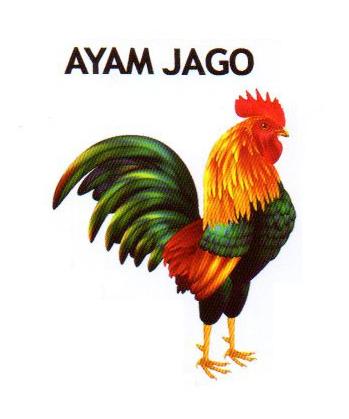 Trademark AYAM JAGO